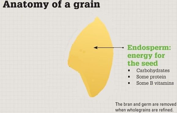 Rice Endosperm Specific Expression Platform